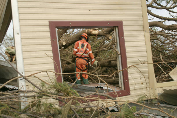 How Our Tree Care Process Works  in  Cambridge, MN